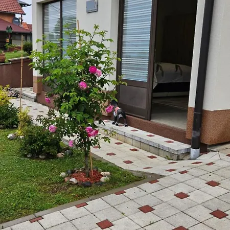 Javor بيت ضيافة